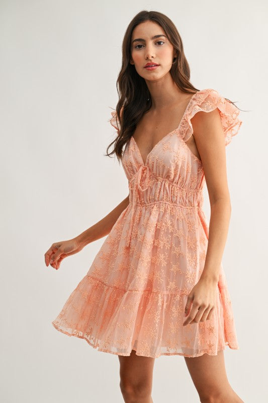Elodie Chiffon Embroidered Flutter Mini Dress